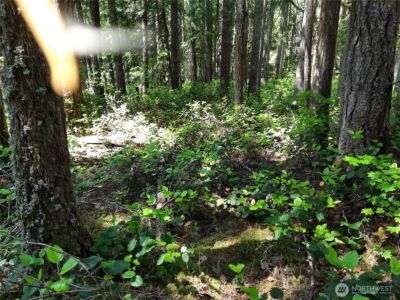 197 Cascade River Road , Marblemount, WA 98267 - Photo 14