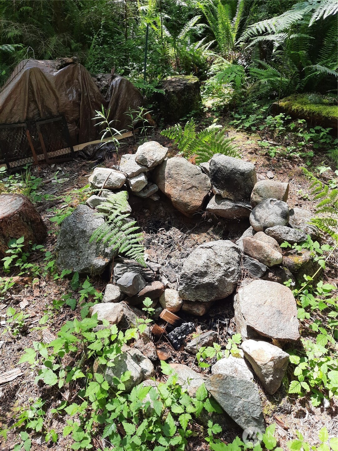 197 Cascade River Road , Marblemount, WA 98267