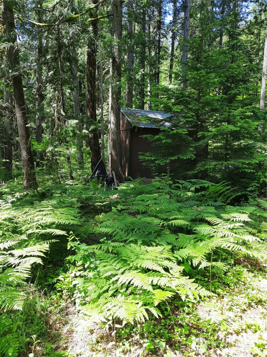 197 Cascade River Road , Marblemount, WA 98267