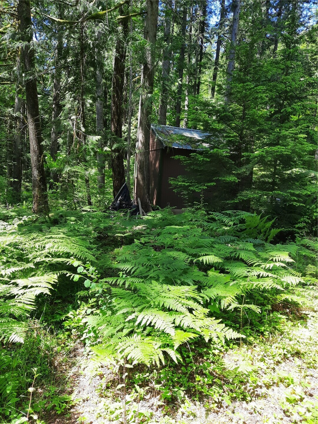 197 Cascade River Road , Marblemount, WA 98267