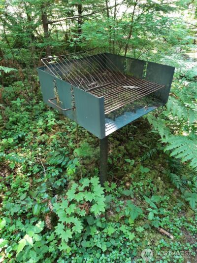 197 Cascade River Road , Marblemount, WA 98267 - Photo 19