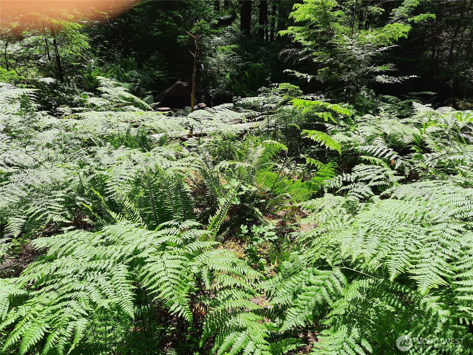 197 Cascade River Road , Marblemount, WA 98267