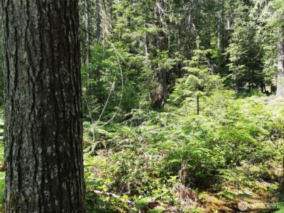 197 Cascade River Road , Marblemount, WA 98267 - Photo 10