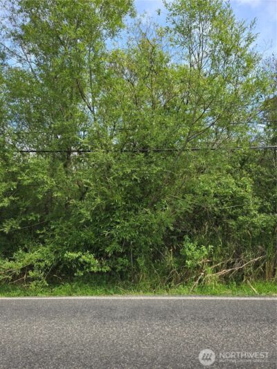 7933 Custer Road , Blaine, WA 98230 - Photo 2