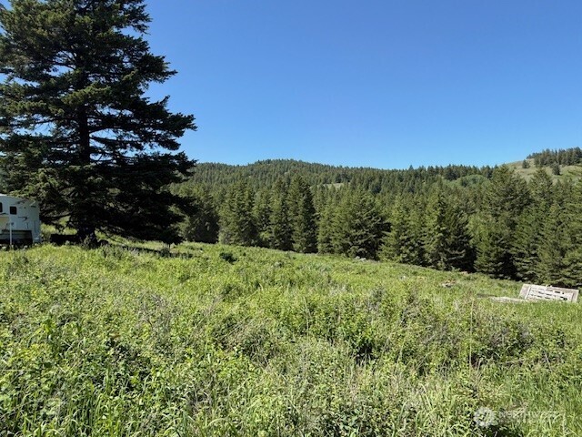 175 ELLEMEHAM RIDGE Road , Oroville, WA 98844