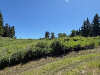 175 ELLEMEHAM RIDGE Road , Oroville, WA 98844 - Photo 9