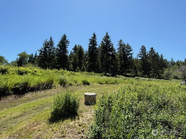 175 ELLEMEHAM RIDGE Road , Oroville, WA 98844