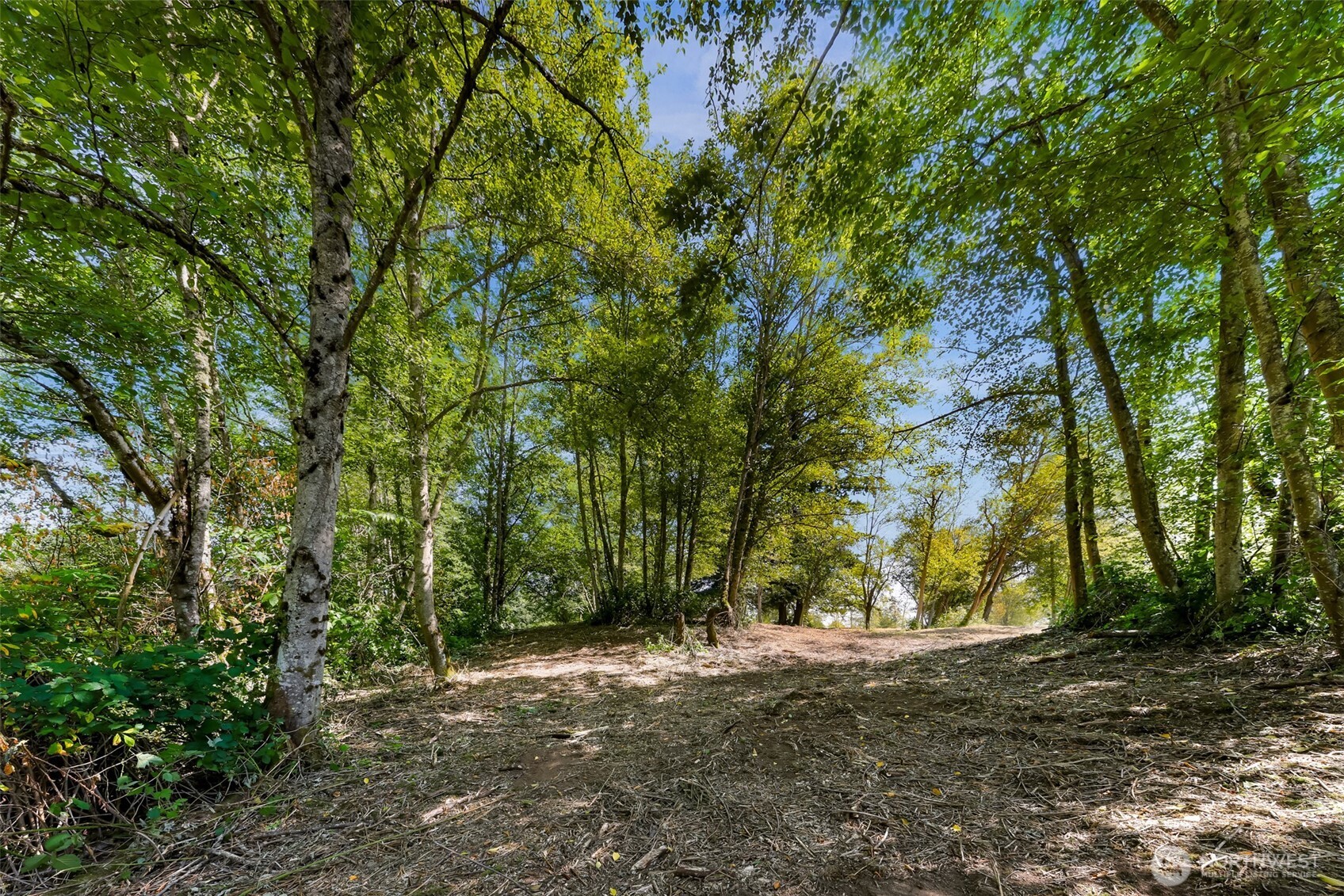 351 W Silverado Court , Bellingham, WA 98226