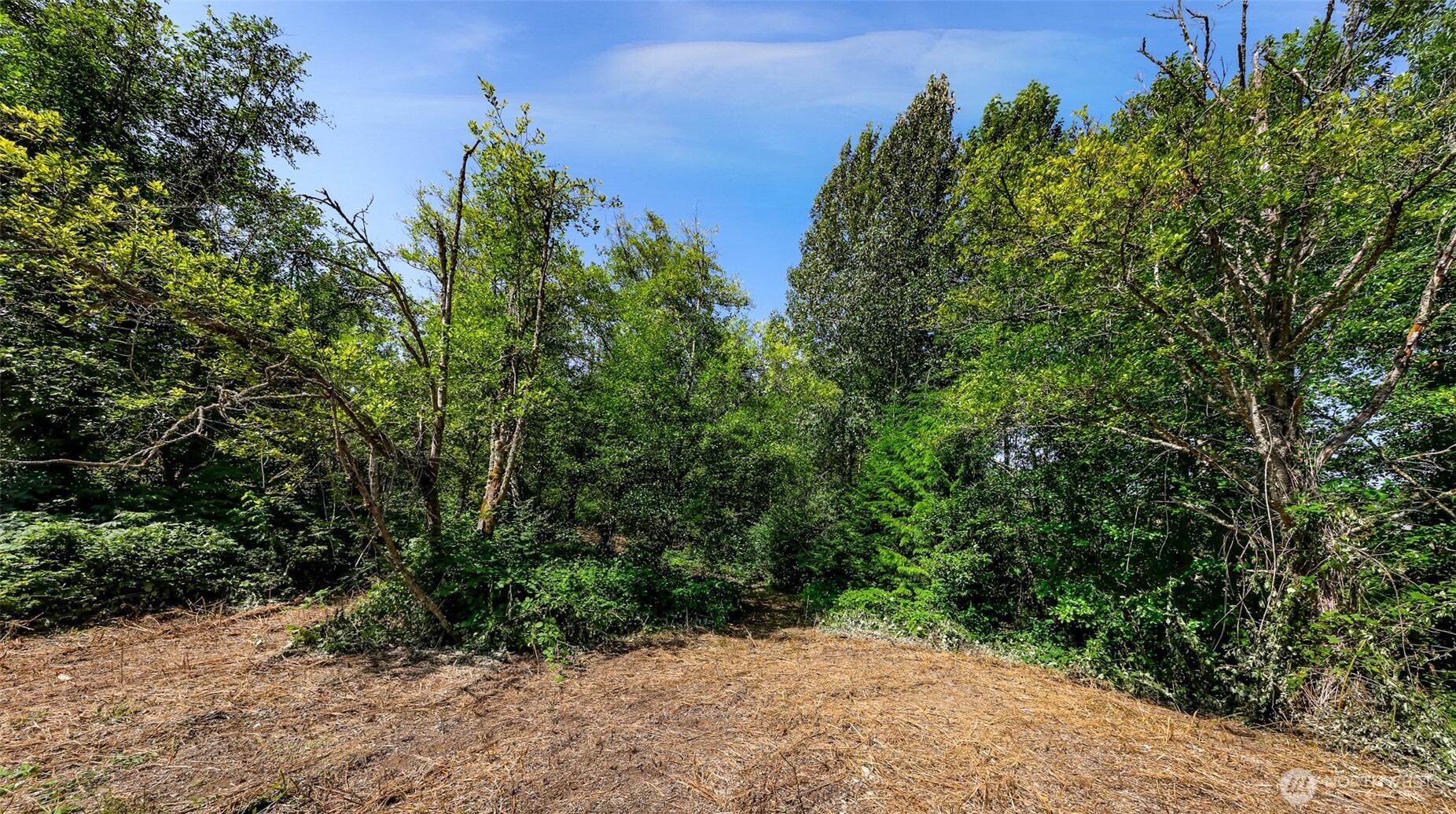 351 W Silverado Court , Bellingham, WA 98226