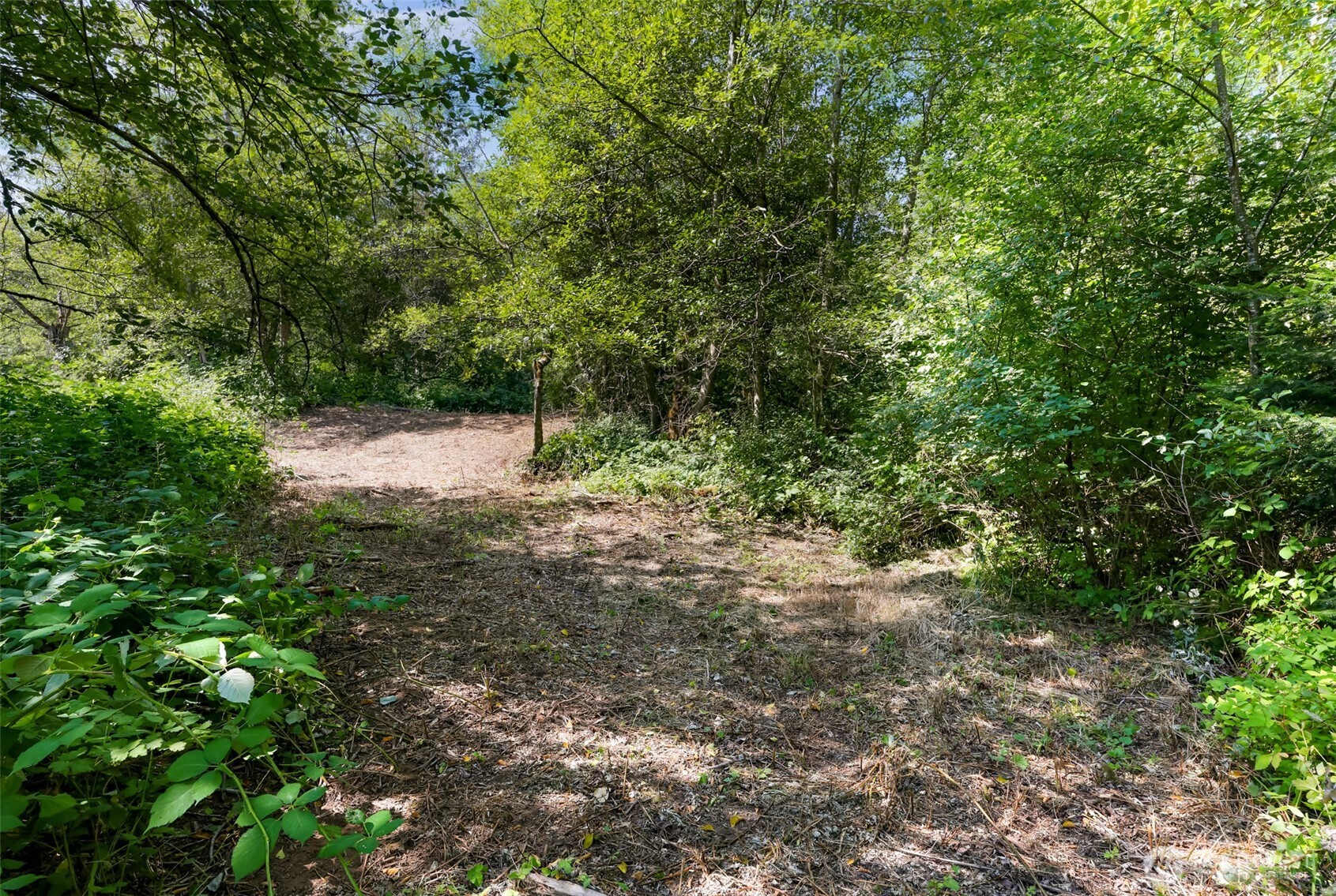 351 W Silverado Court , Bellingham, WA 98226