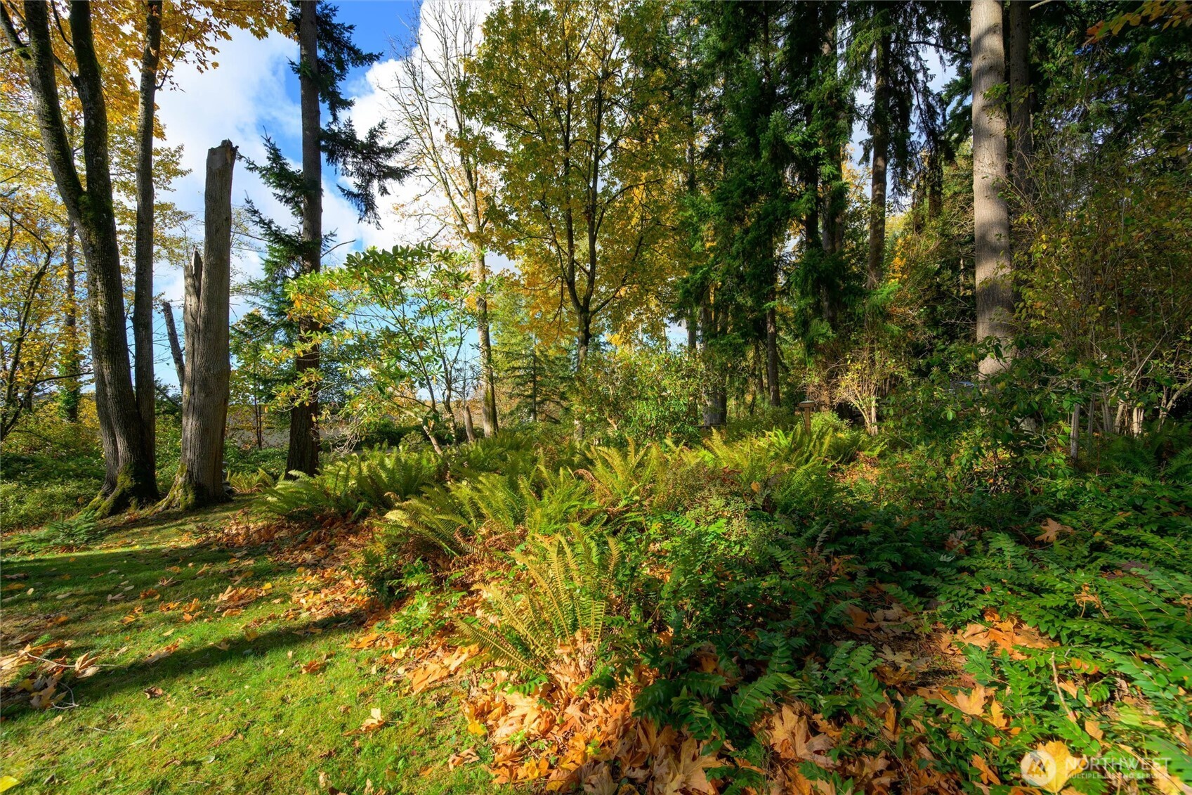 2609 Vining Street , Bellingham, WA 98229