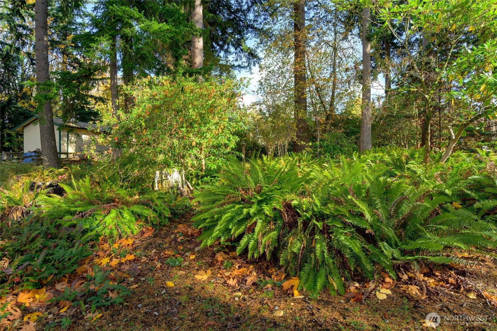 2609 Vining Street , Bellingham, WA 98229