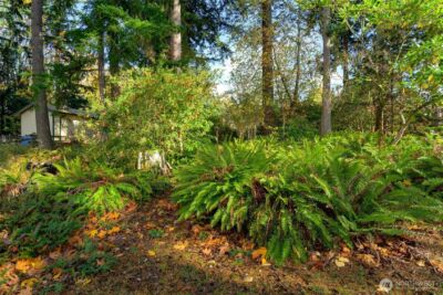 2609 Vining Street , Bellingham, WA 98229 - Photo 35