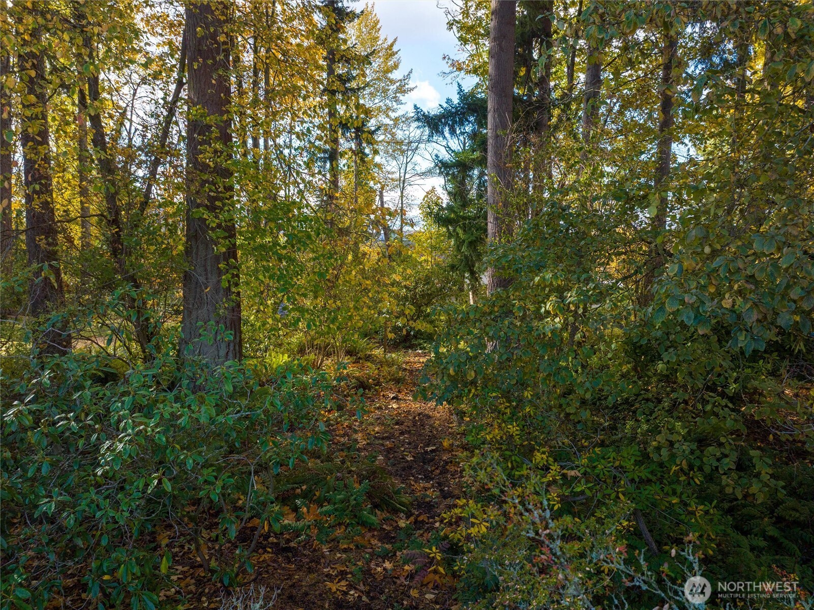 2609 Vining Street , Bellingham, WA 98229