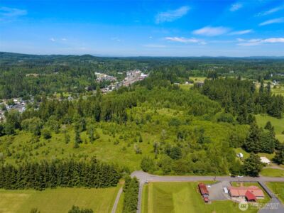 0 SE Rice-multiple MDR/LDR parcels , Winlock, WA 98596 - Photo 16