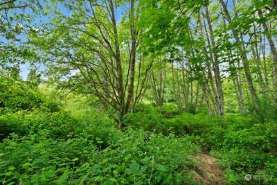 3922 Bethel Road SE, Port Orchard, WA 98366 - Photo 12