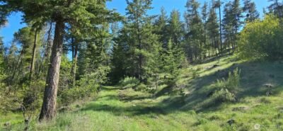 111 Ellemeham Mtn , Oroville, WA 98844 - Photo 13