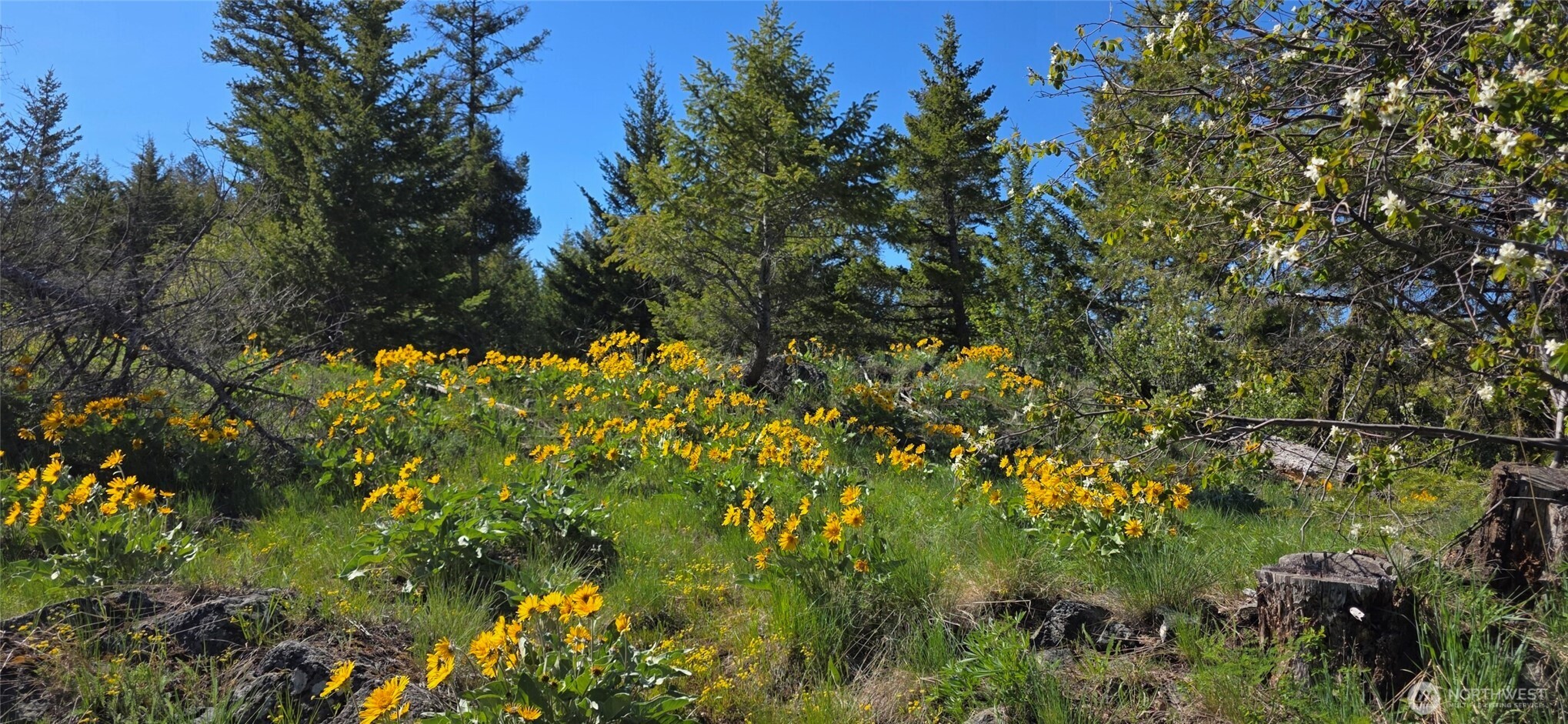 111 Ellemeham Mtn , Oroville, WA 98844