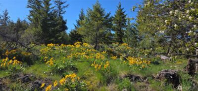 111 Ellemeham Mtn , Oroville, WA 98844 - Photo 14