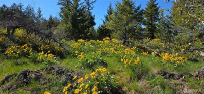 111 Ellemeham Mtn , Oroville, WA 98844 - Photo 15