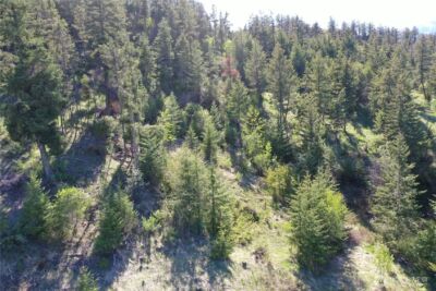 111 Ellemeham Mtn , Oroville, WA 98844 - Photo 16