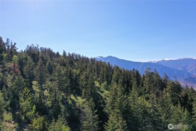 111 Ellemeham Mtn , Oroville, WA 98844 - Photo 17