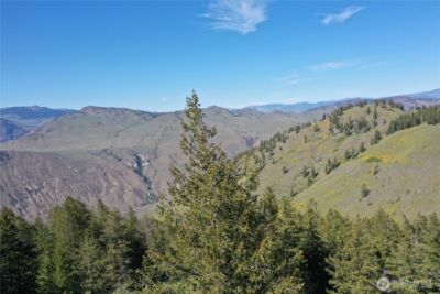 111 Ellemeham Mtn , Oroville, WA 98844 - Photo 19