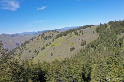 111 Ellemeham Mtn , Oroville, WA 98844 - Photo 20