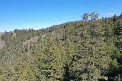 111 Ellemeham Mtn , Oroville, WA 98844 - Photo 21