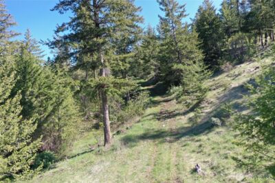 111 Ellemeham Mtn , Oroville, WA 98844 - Photo 22