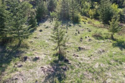 111 Ellemeham Mtn , Oroville, WA 98844 - Photo 23