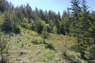 111 Ellemeham Mtn , Oroville, WA 98844 - Photo 24