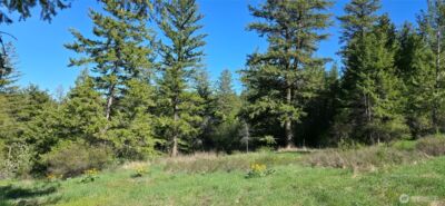 111 Ellemeham Mtn , Oroville, WA 98844 - Photo 3