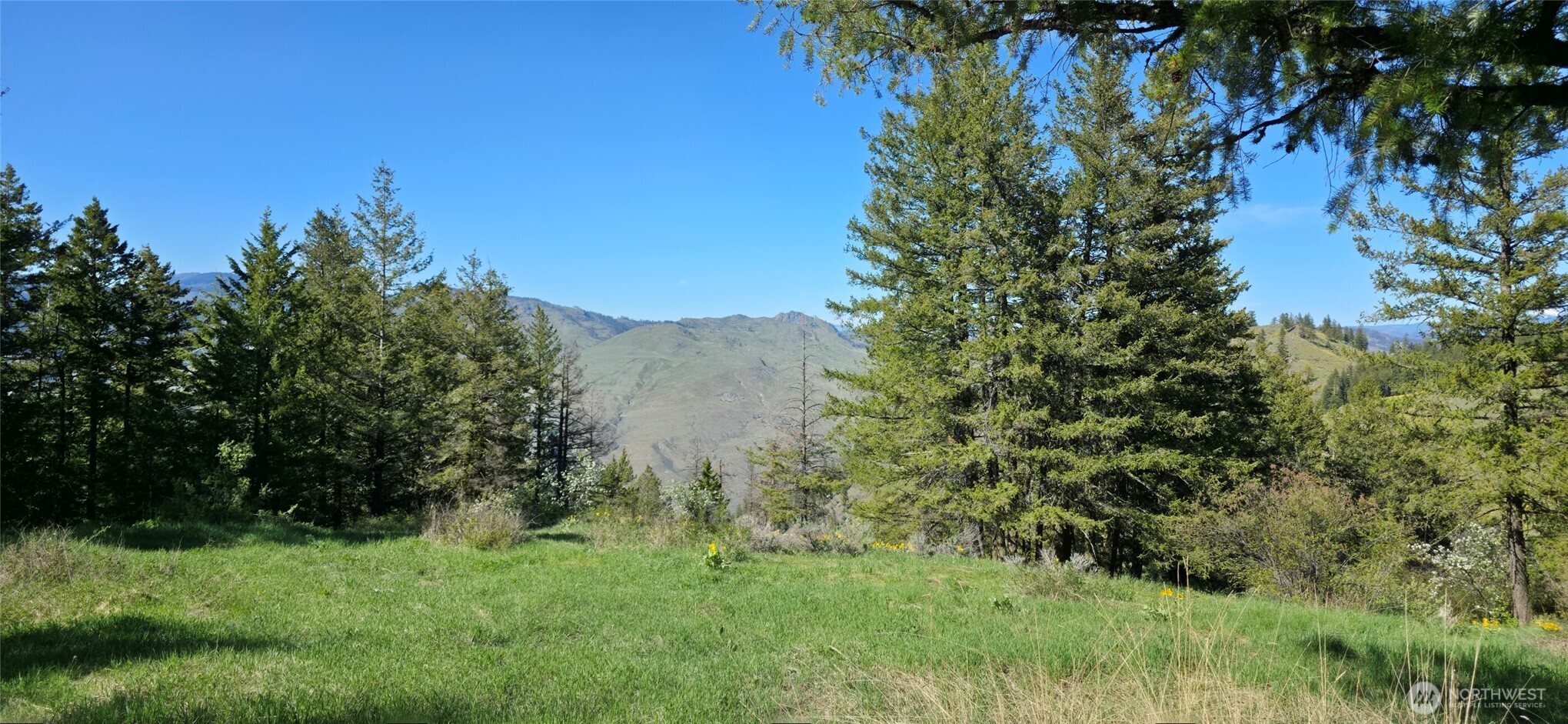 111 Ellemeham Mtn , Oroville, WA 98844