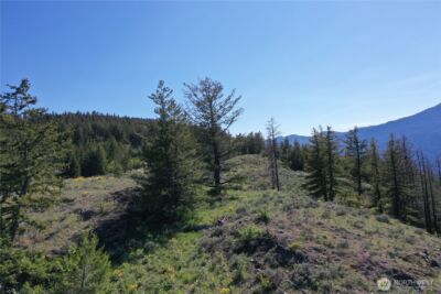 111 Ellemeham Mtn , Oroville, WA 98844 - Photo 31