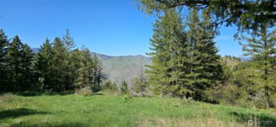 111 Ellemeham Mtn , Oroville, WA 98844 - Photo 4