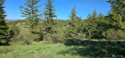 111 Ellemeham Mtn , Oroville, WA 98844 - Photo 5