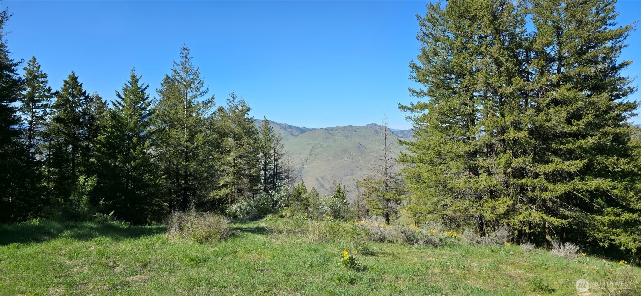 111 Ellemeham Mtn , Oroville, WA 98844