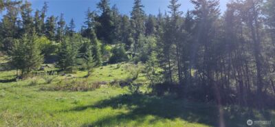 111 Ellemeham Mtn , Oroville, WA 98844 - Photo 8