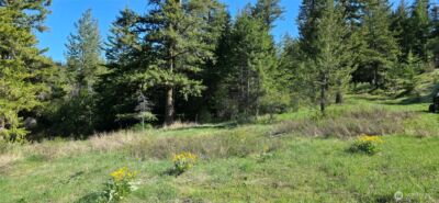 111 Ellemeham Mtn , Oroville, WA 98844 - Photo 9