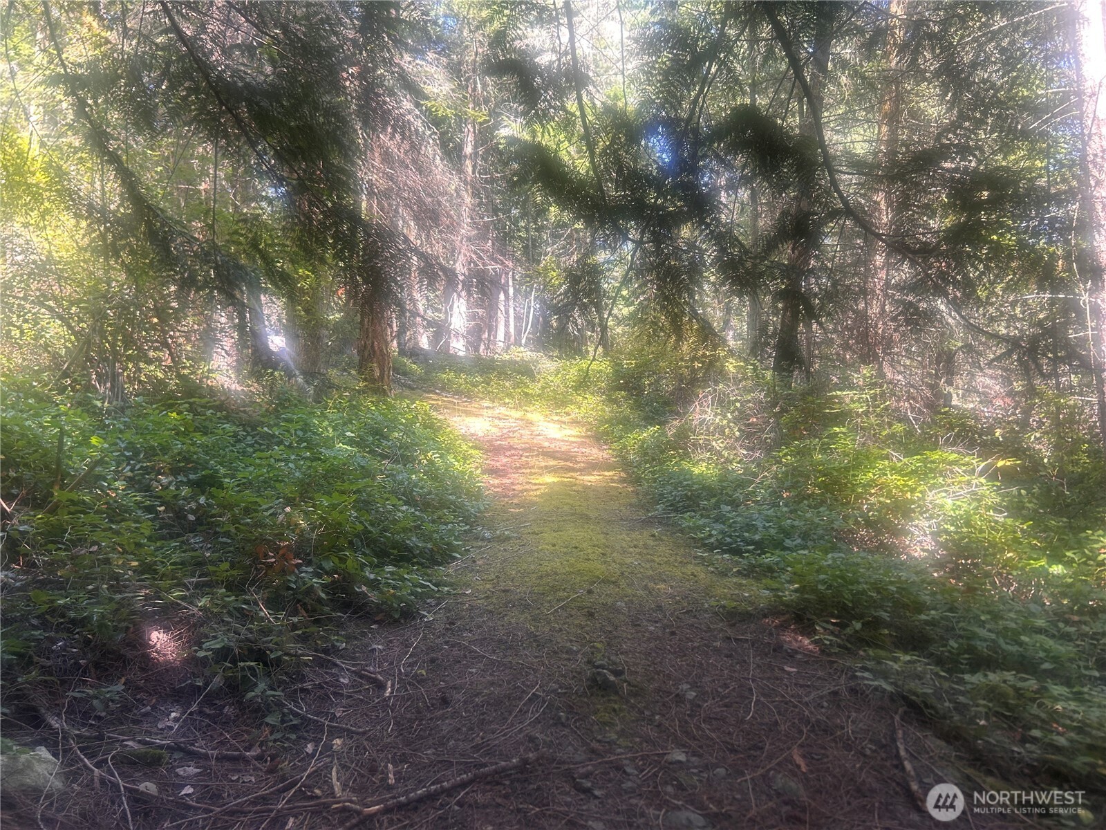 0 XX Rocky Road , Crane Island, WA 98243