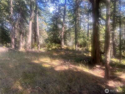 0 XX Rocky Road , Crane Island, WA 98243 - Photo 2