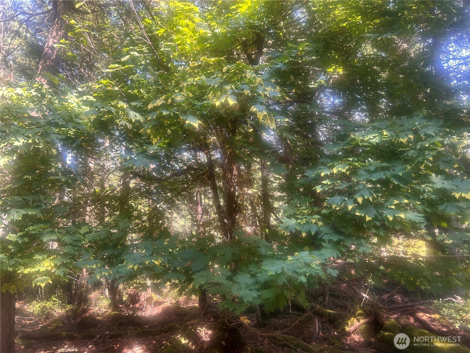 0 XX Rocky Road , Crane Island, WA 98243