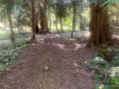 0 XX Rocky Road , Crane Island, WA 98243 - Photo 5