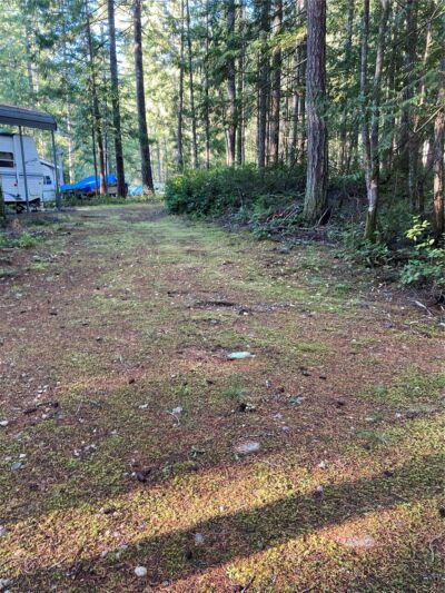 20 N Mt Jupiter Court , Hoodsport, WA 98548 - Photo 2