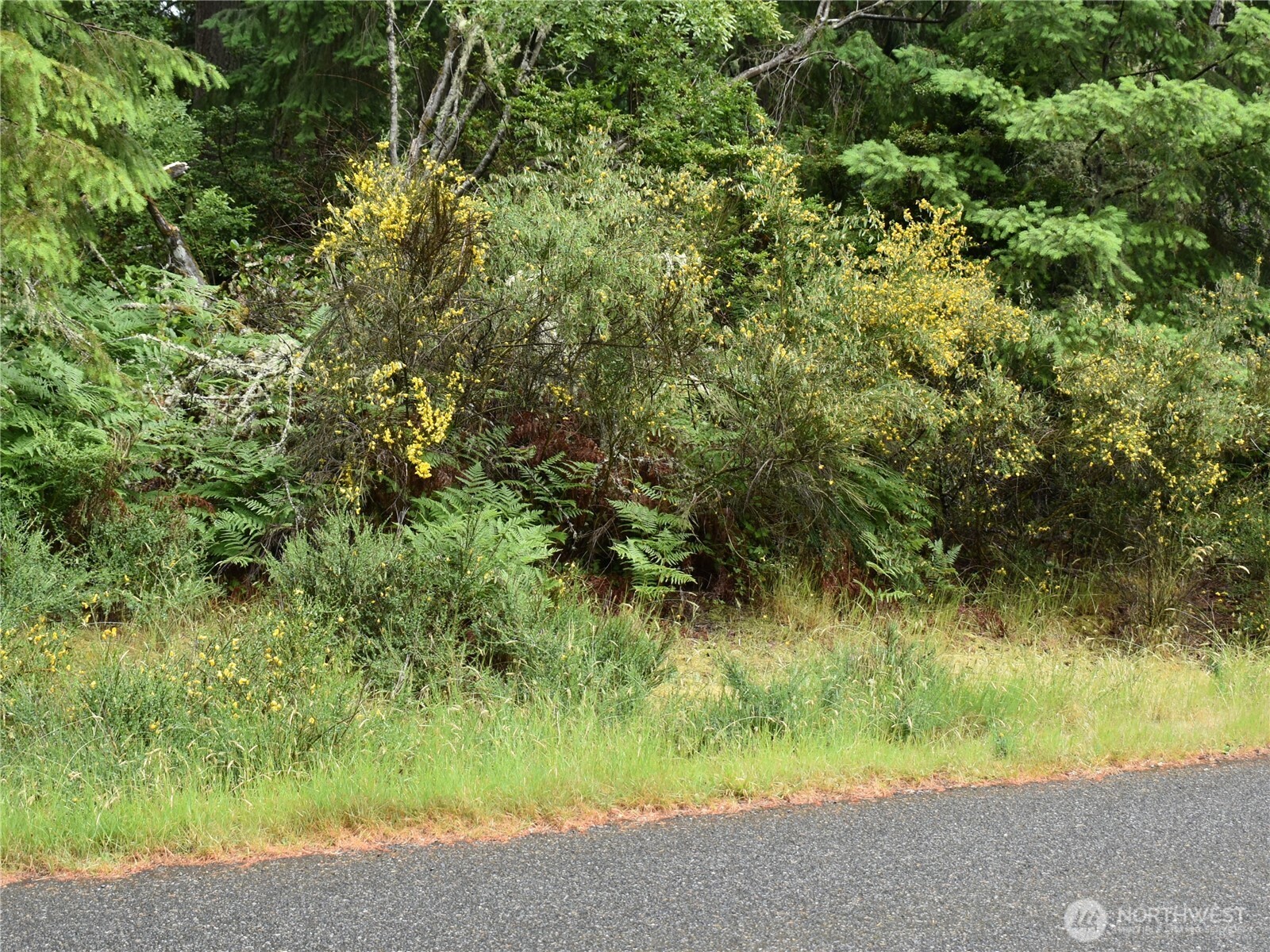 10921 Pioneer Drive , Anderson Island, WA 98303