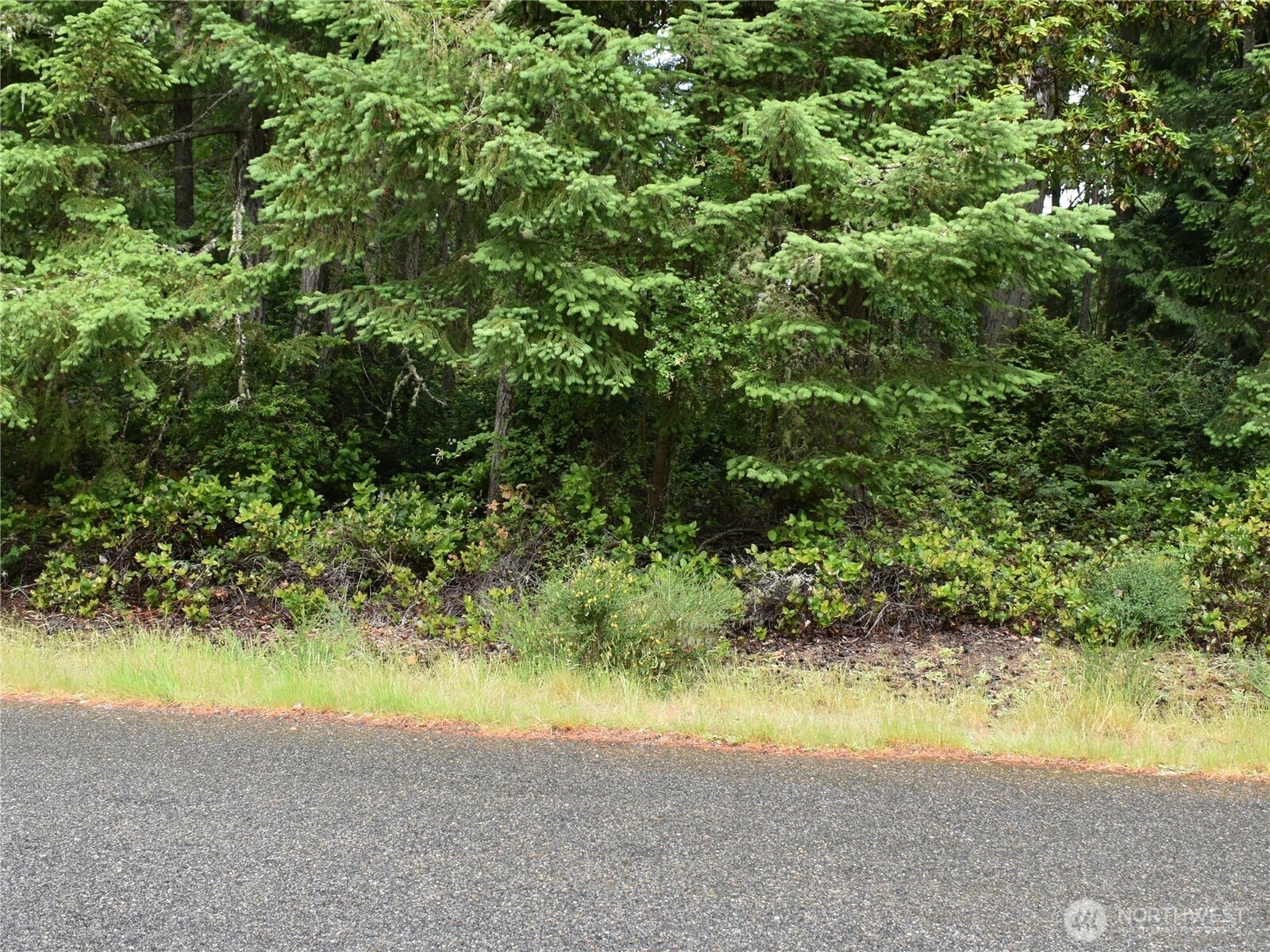 10921 Pioneer Drive , Anderson Island, WA 98303