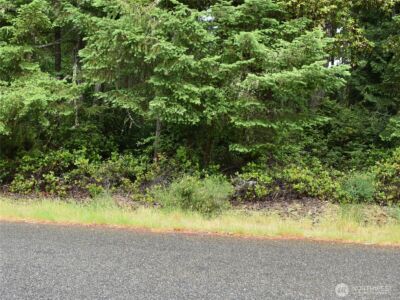 10921 Pioneer Drive , Anderson Island, WA 98303 - Photo 2