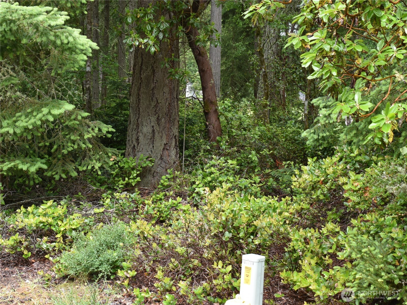 10921 Pioneer Drive , Anderson Island, WA 98303