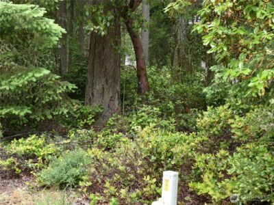 10921 Pioneer Drive , Anderson Island, WA 98303 - Photo 3